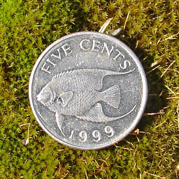 Bermuda coin